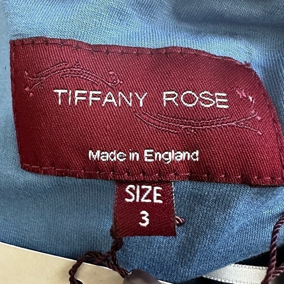 Tiffany Rose Maternity Gia Lace One Shoulder Maxi Gown Blue NWT includes sash! - Picture 6 of 10